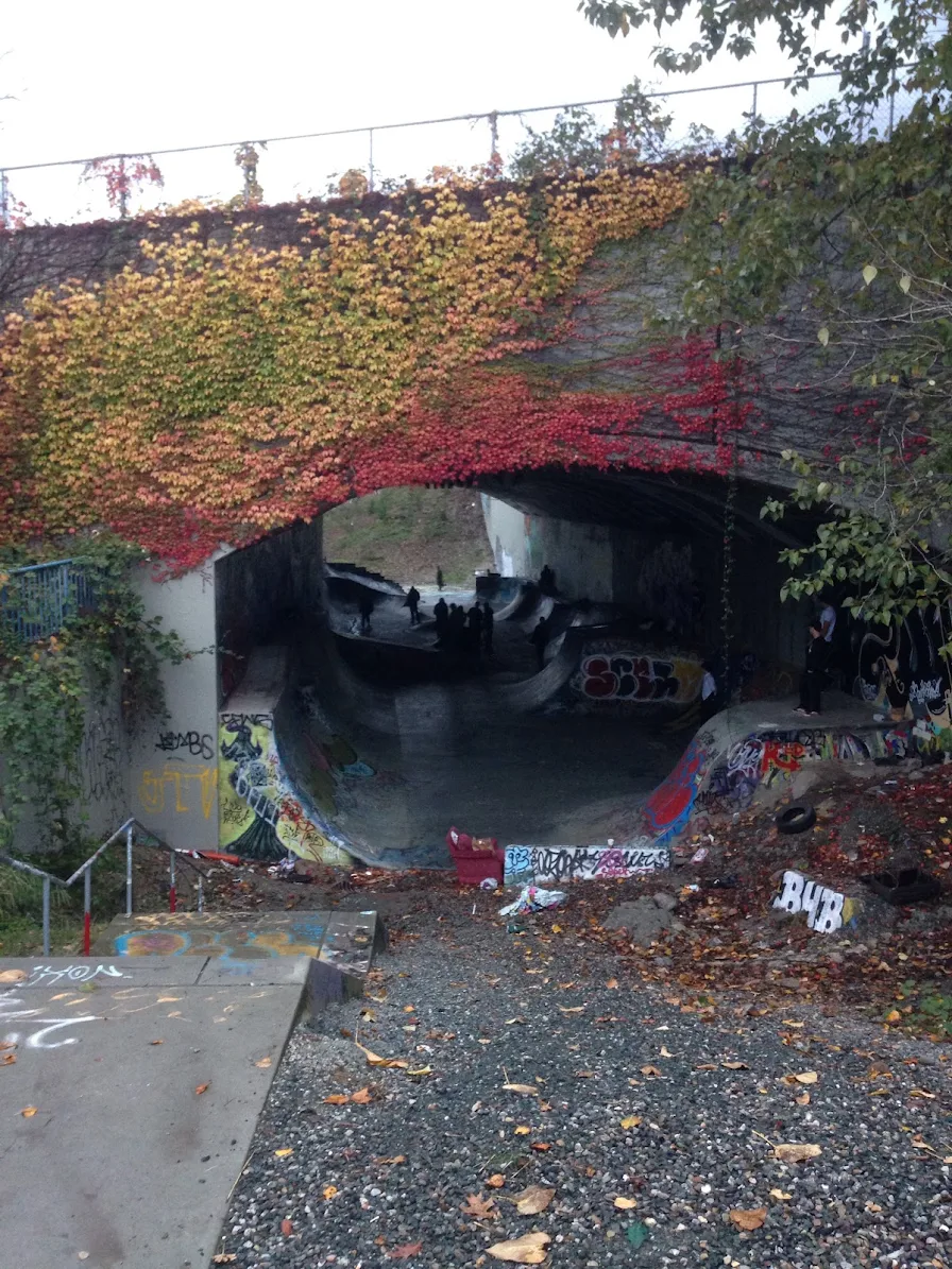 Leeside Skatepark